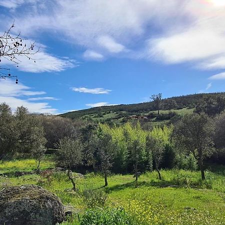 Quinta Da Utopia กัสเตโลเจวีด ภายนอก รูปภาพ