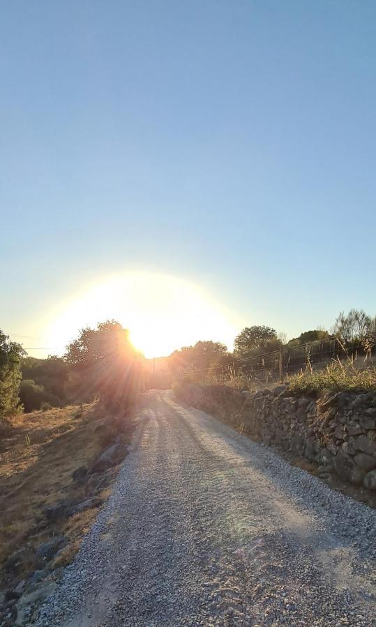 Quinta Da Utopia กัสเตโลเจวีด ภายนอก รูปภาพ