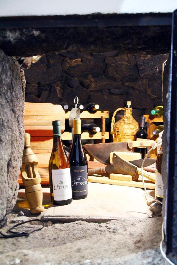 Quinta Da Utopia กัสเตโลเจวีด ภายนอก รูปภาพ