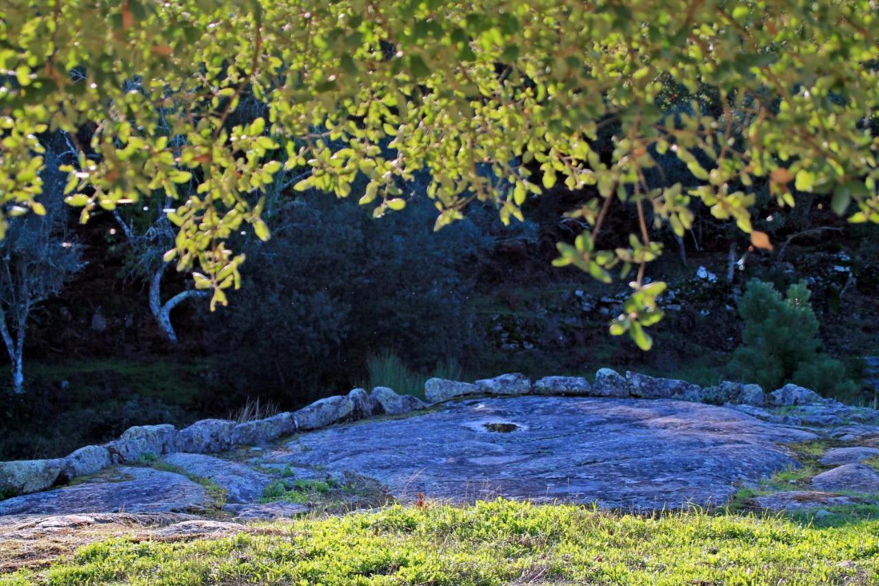Quinta Da Utopia กัสเตโลเจวีด ภายนอก รูปภาพ