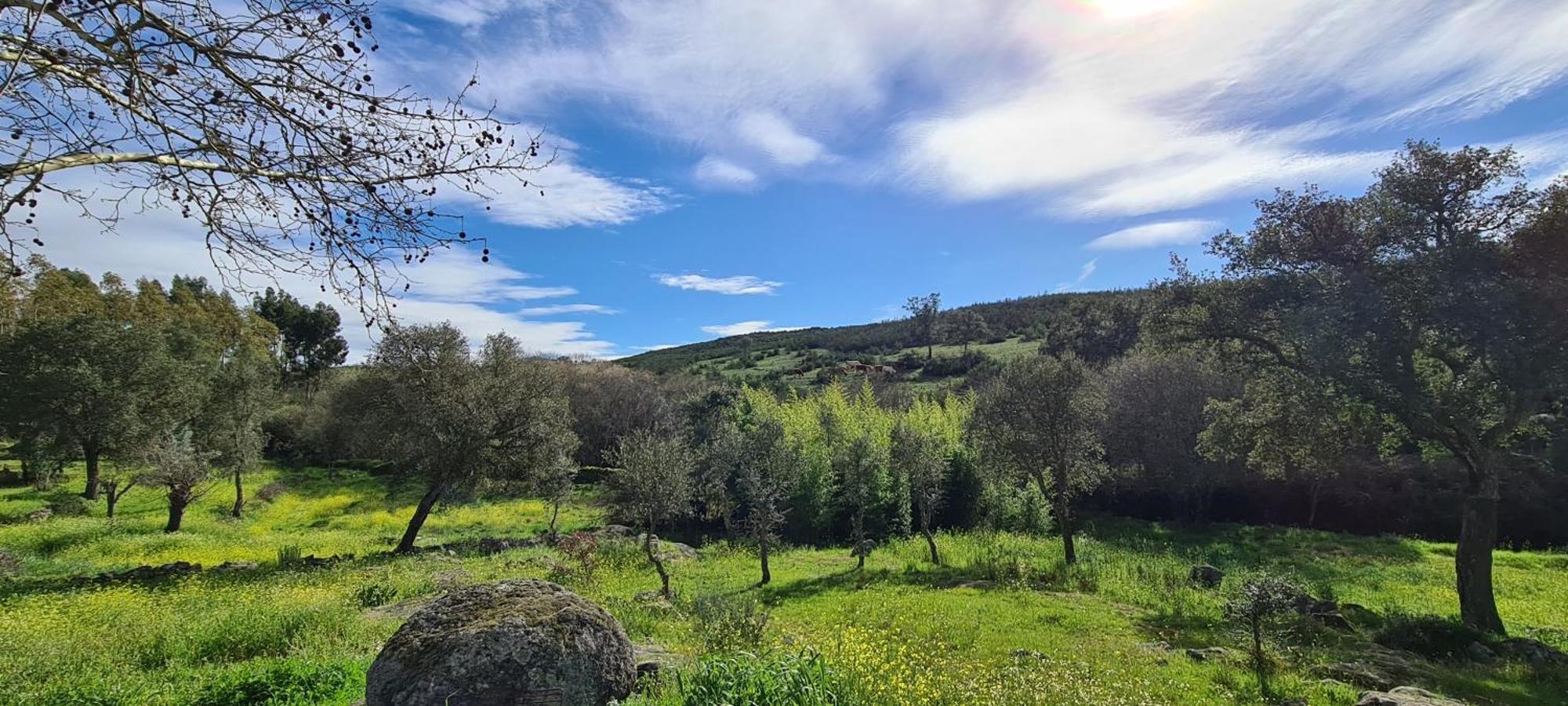 Quinta Da Utopia กัสเตโลเจวีด ภายนอก รูปภาพ