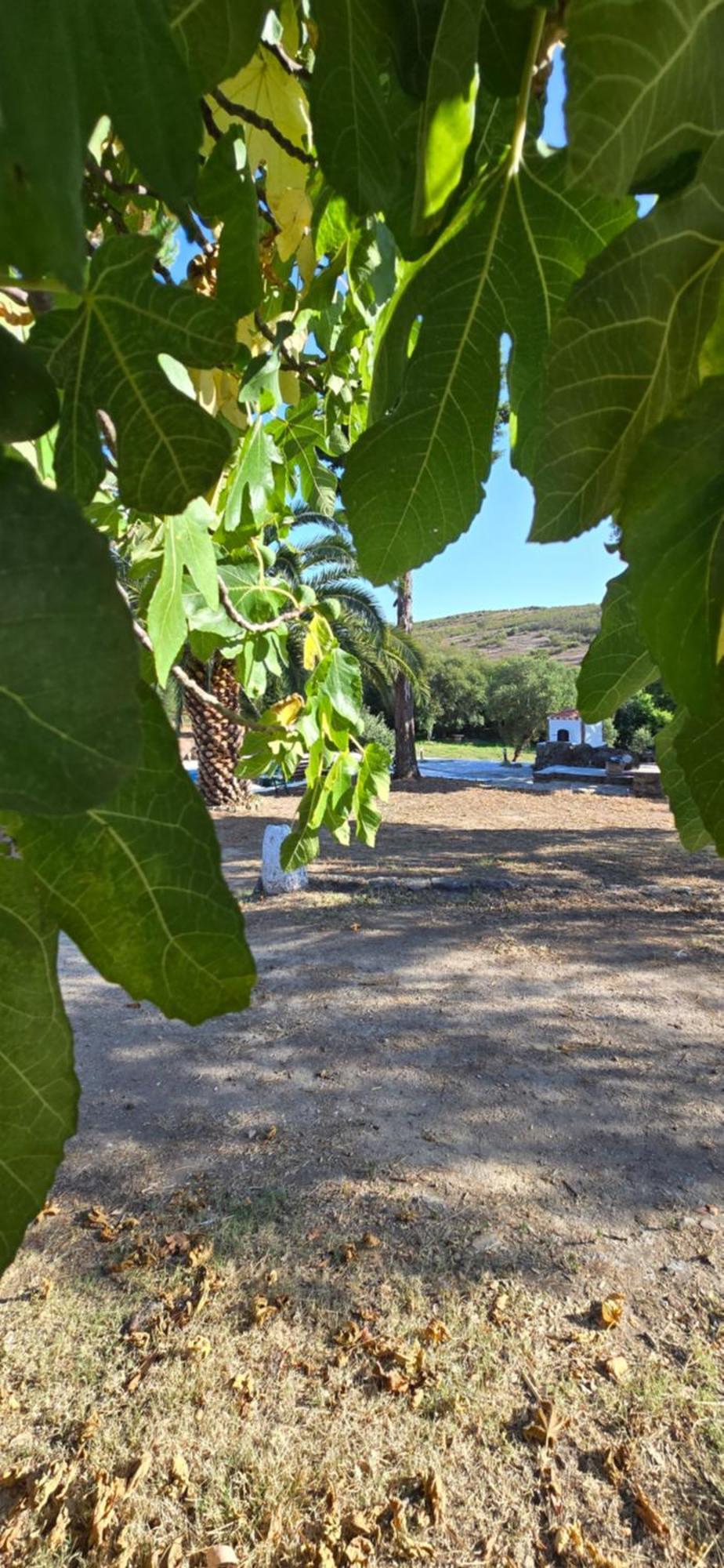 Quinta Da Utopia กัสเตโลเจวีด ภายนอก รูปภาพ