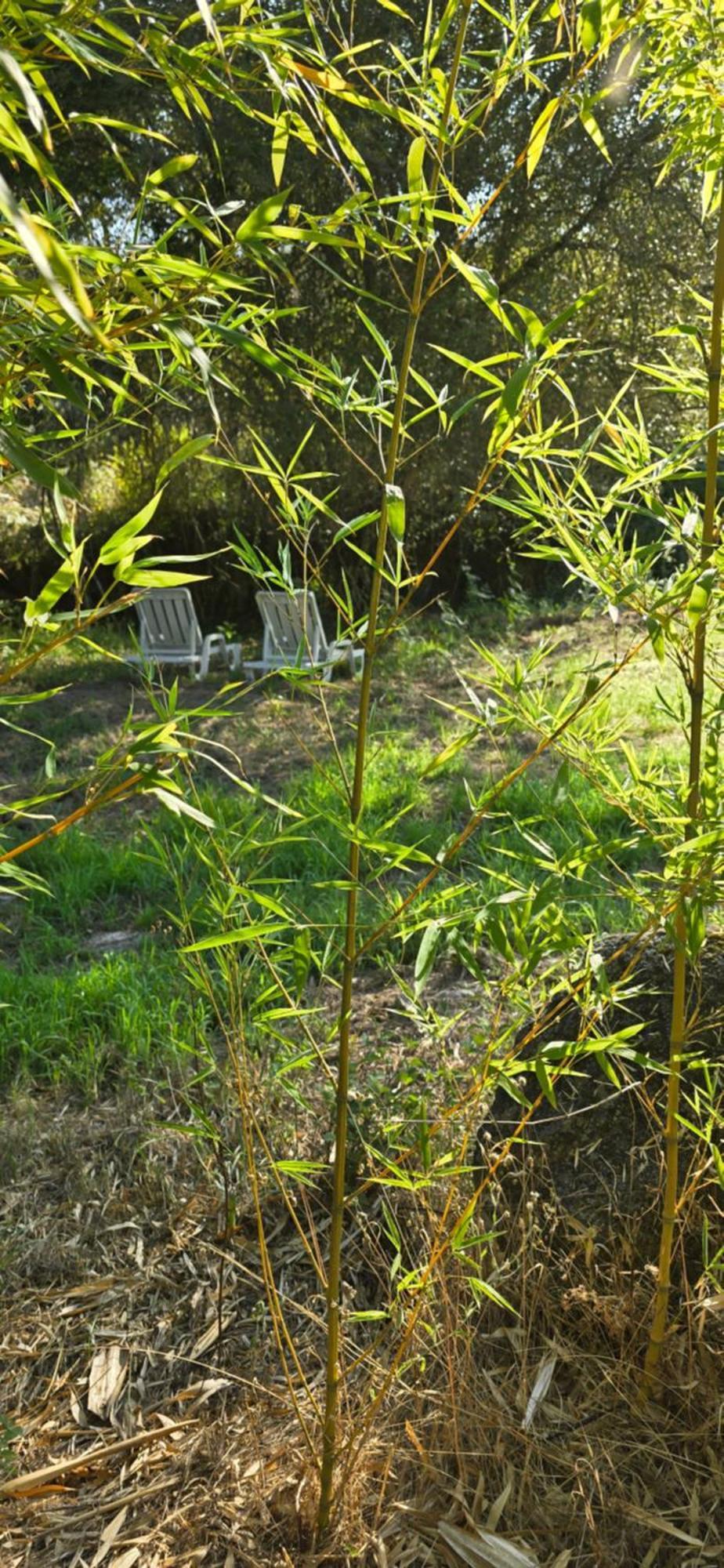 Quinta Da Utopia กัสเตโลเจวีด ภายนอก รูปภาพ